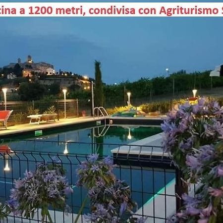 Вилла Agriturismo Galanti Cossignano Экстерьер фото